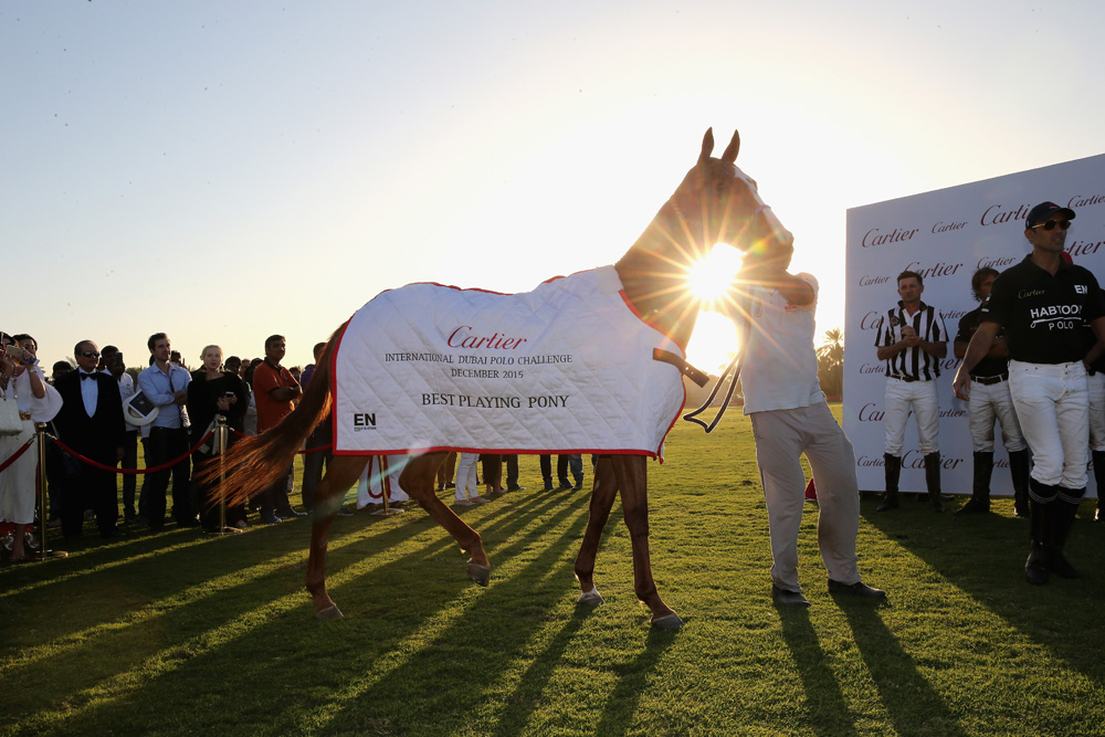 DUBAI, UNITED ARAB EMIRATES - DECEMBER 12:  Presentations are made on the final day of Cartier International Dubai Polo Challenge 11th edition at Desert Palm Hotel on December 12, 2015 in Dubai, United Arab Emirates. The event takes place under the patronage of HRH Princess Haya Bint Al Hussein, Wife of HH Sheikh Mohammed Bin Rashid Al Maktoum, Vice-President and Prime Minister of the UAE and Ruler of Dubai. The Cartier International Dubai Polo Challenge is one of the most prestigious happenings in Dubai's sporting and social calendar.  (Photo by Chris Jackson/Getty Images for Cartier)