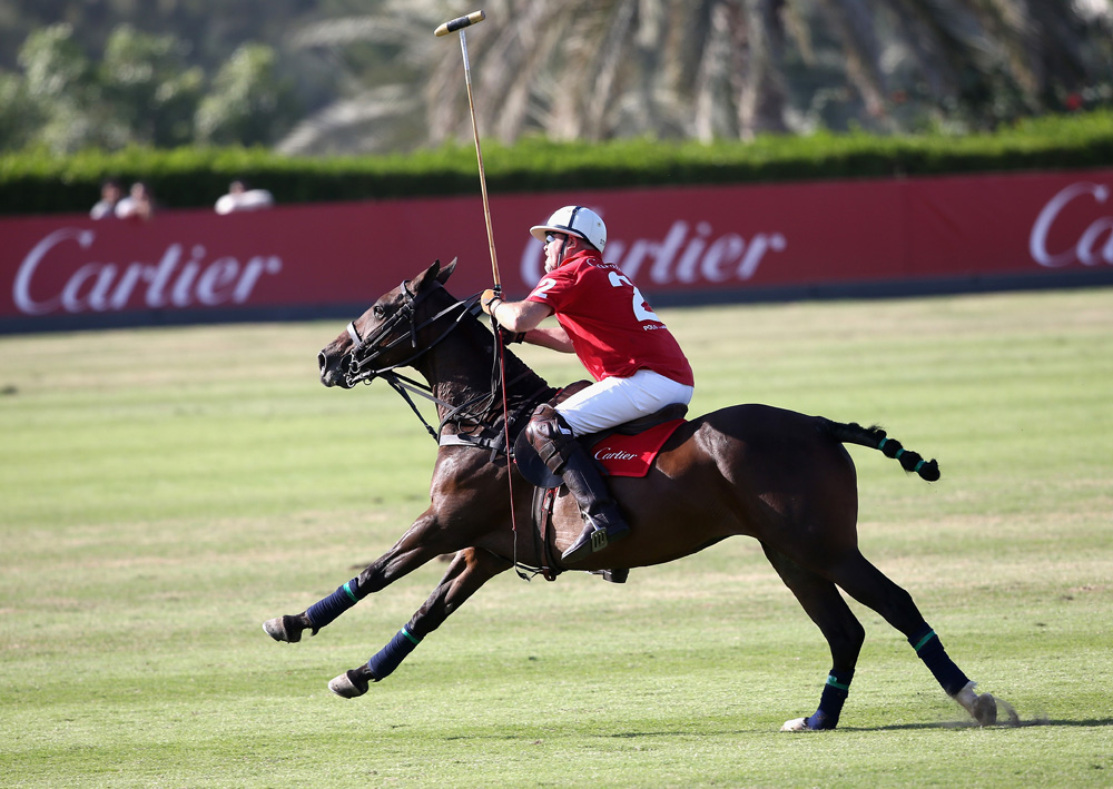 DUBAI, UNITED ARAB EMIRATES - DECEMBER 12:  Zedan Polo Team play Cartier Polo Team pose for photos on the final day of Cartier International Dubai Polo Challenge 11th edition at Desert Palm Hotel on December 12, 2015 in Dubai, United Arab Emirates. The event takes place under the patronage of HRH Princess Haya Bint Al Hussein, Wife of HH Sheikh Mohammed Bin Rashid Al Maktoum, Vice-President and Prime Minister of the UAE and Ruler of Dubai. The Cartier International Dubai Polo Challenge is one of the most prestigious happenings in Dubai's sporting and social calendar.  (Photo by Chris Jackson/Getty Images for Cartier)